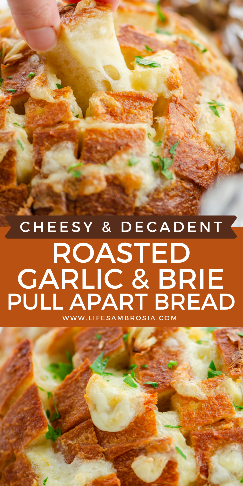 Roasted Garlic and Brie Pull Apart Bread Life's Ambrosia
