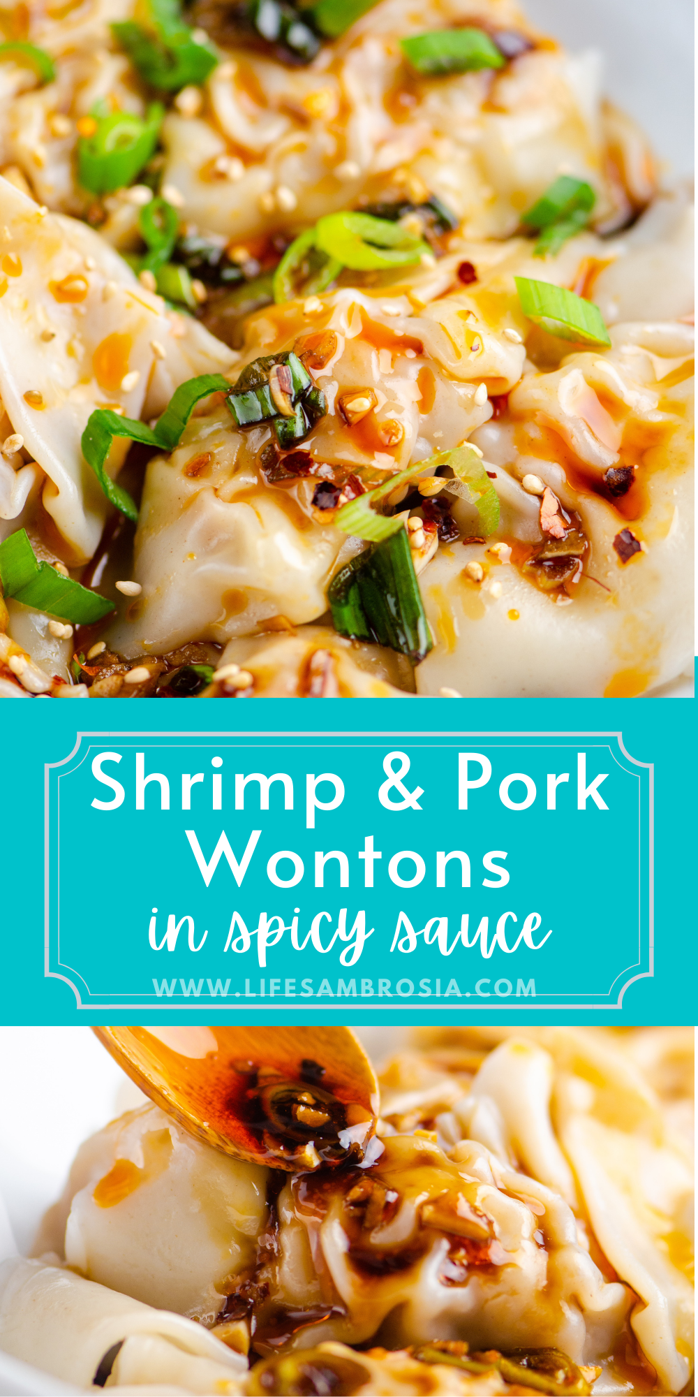 Shrimp and Pork Wontons in Spicy Sauce - Life&amp;#39;s Ambrosia