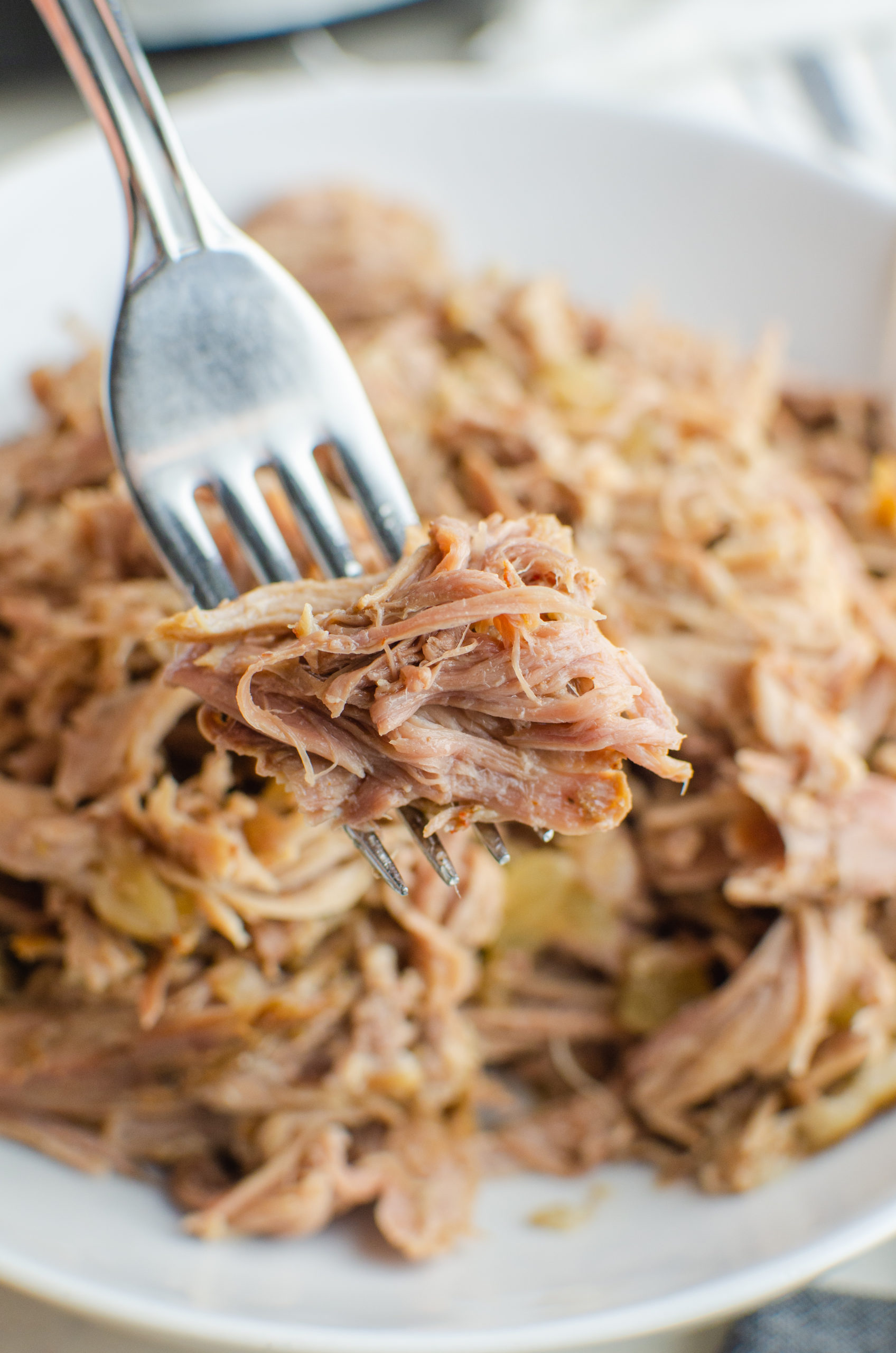 Forkful of slow cooker pulled pork. 