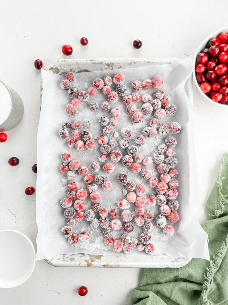 Sugared cranberries on a parchment lined baking sheet. 