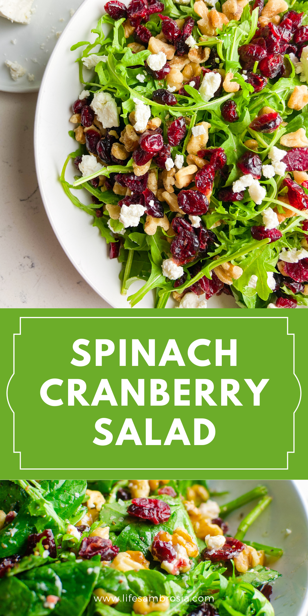 Spinach Cranberry Salad | Thanksgiving Salad | Life's Ambrosia