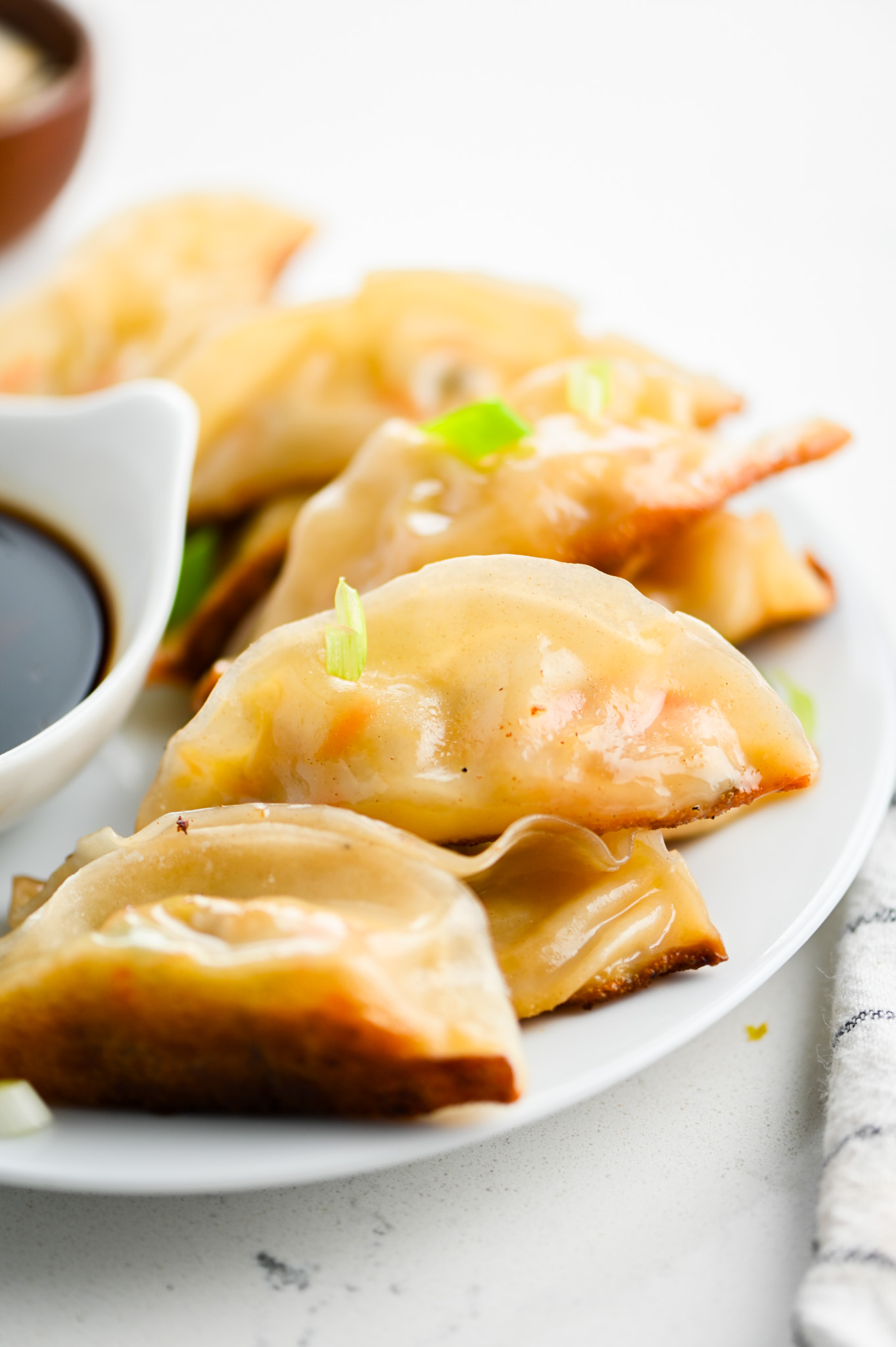 Vegetable Potstickers Recipe Life s Ambrosia deshawn-connor