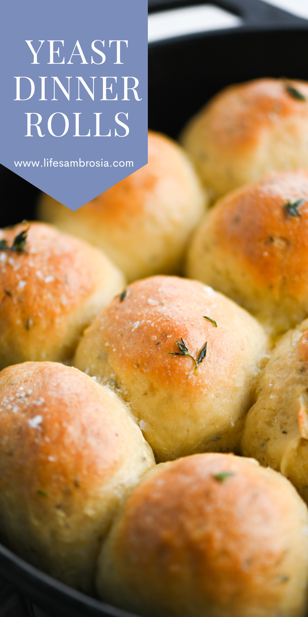 yeast-dinner-rolls-life-s-ambrosia