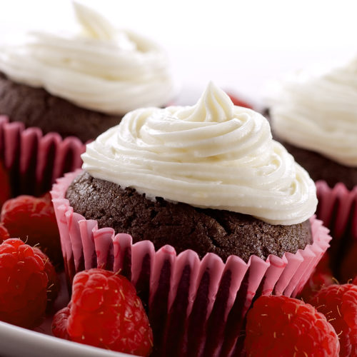 Chocolate raspberry cupcakes surrounded by fresh raspberries.