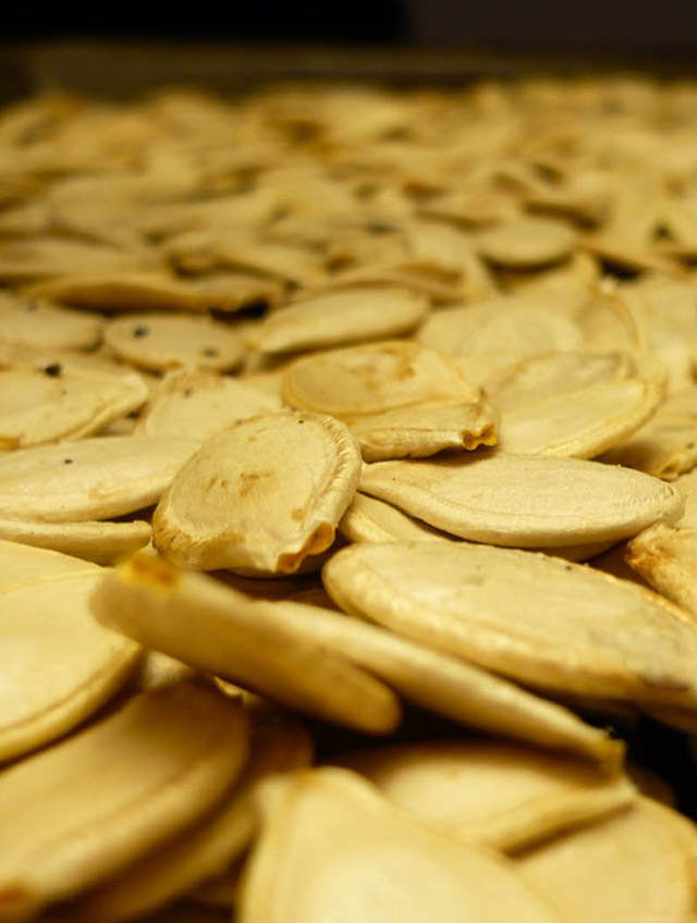 Pumpkin Seeds