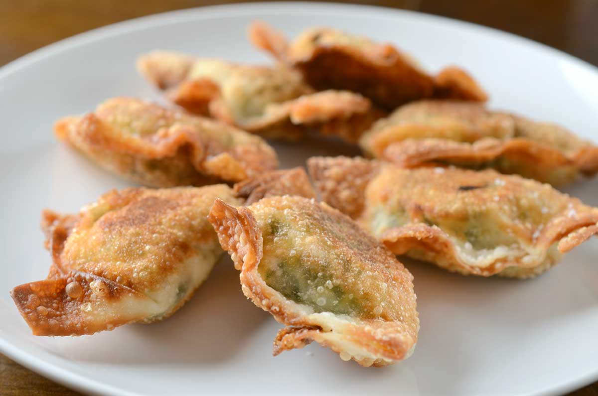 Spinach, Kale and Cream Cheese Wontons