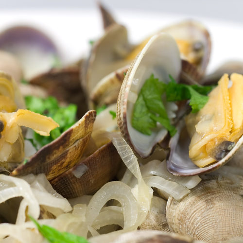 Steamed Clams in White Wine Life's Ambrosia
