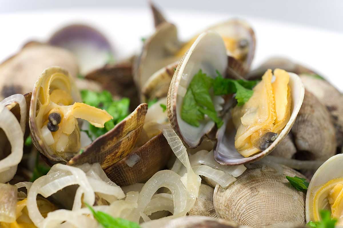 Steamed Clams in White Wine Life's Ambrosia