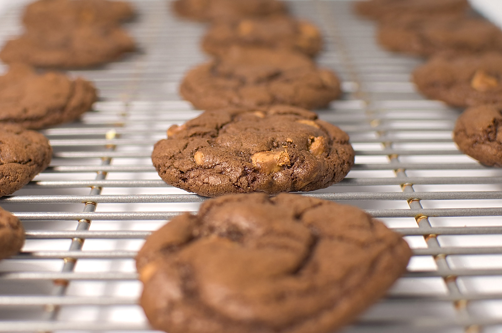 Triple Chocolate Peanut Butter Cookies