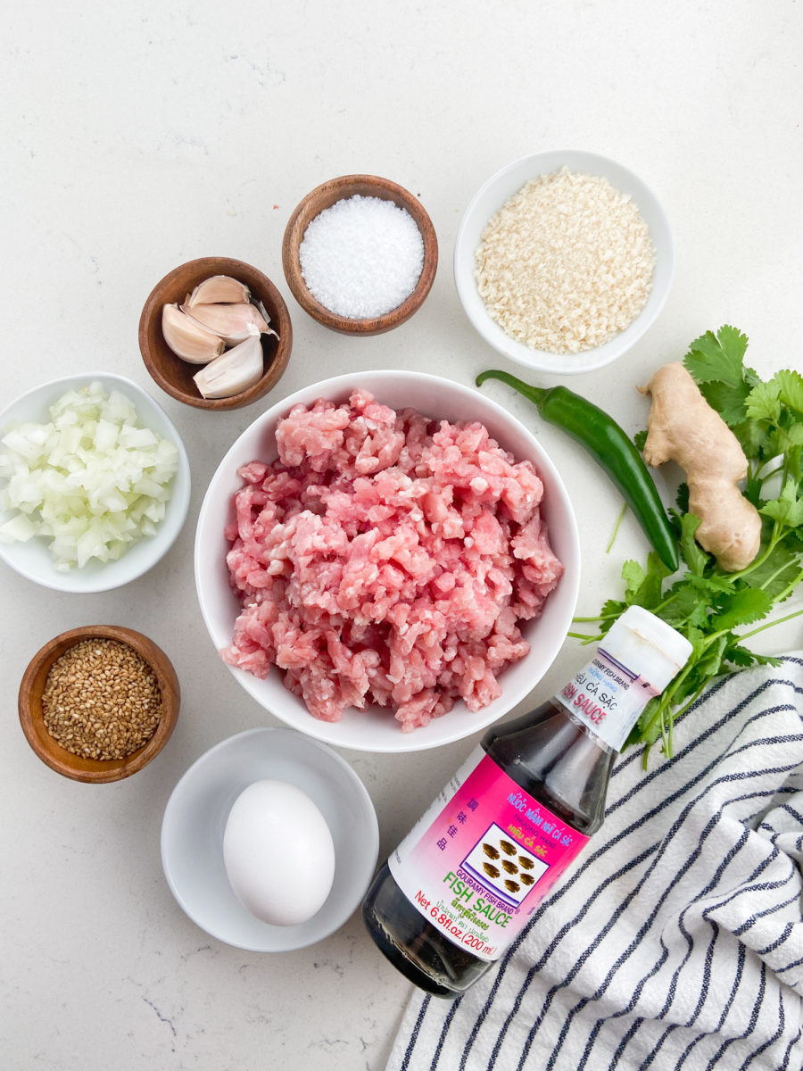 Overhead photo of Asian Meatball Ingredients on white background. 