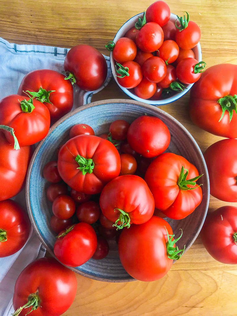 Picture of red summer tomatoes