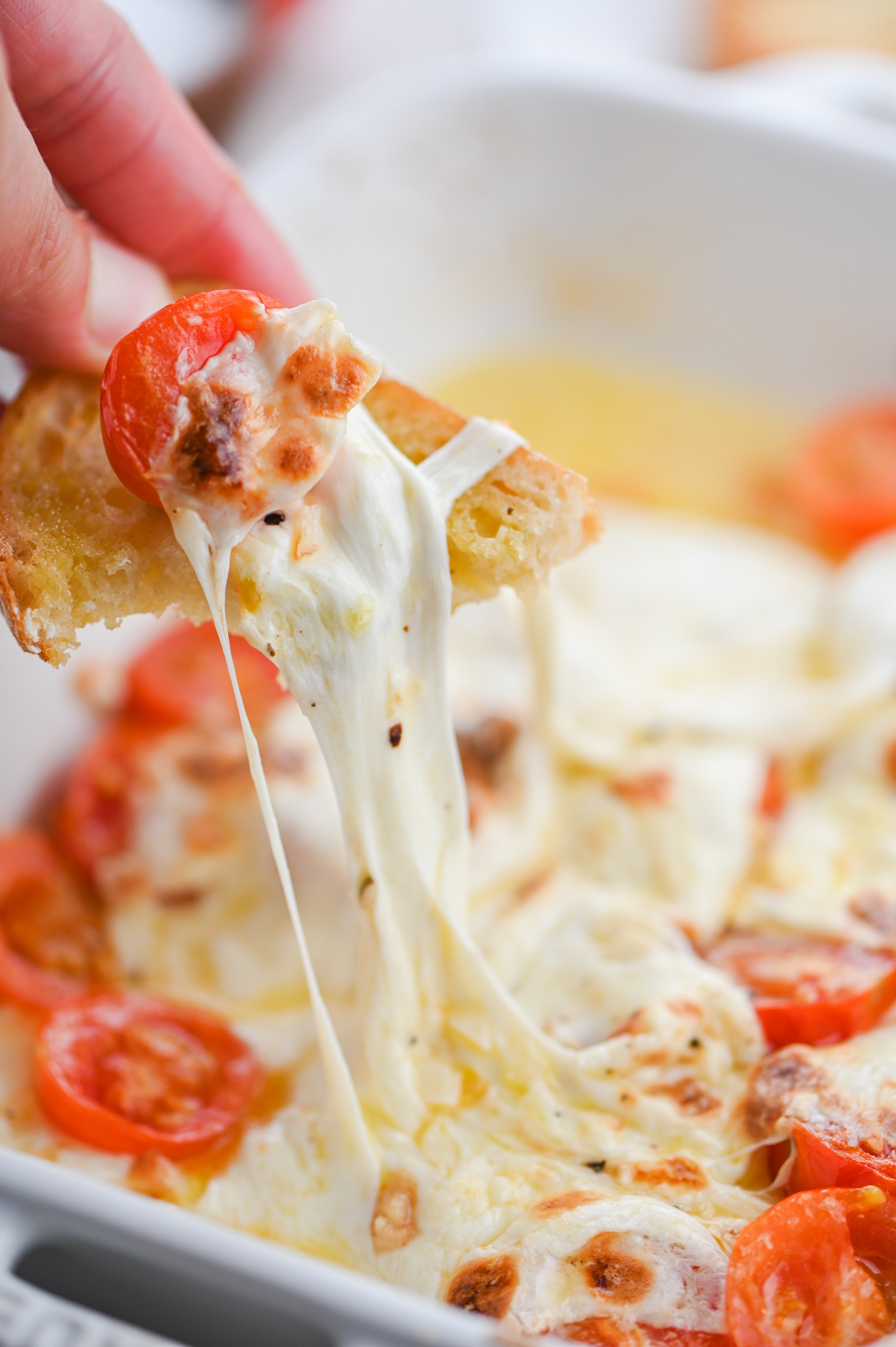 Baked Mozzarella Life's Ambrosia