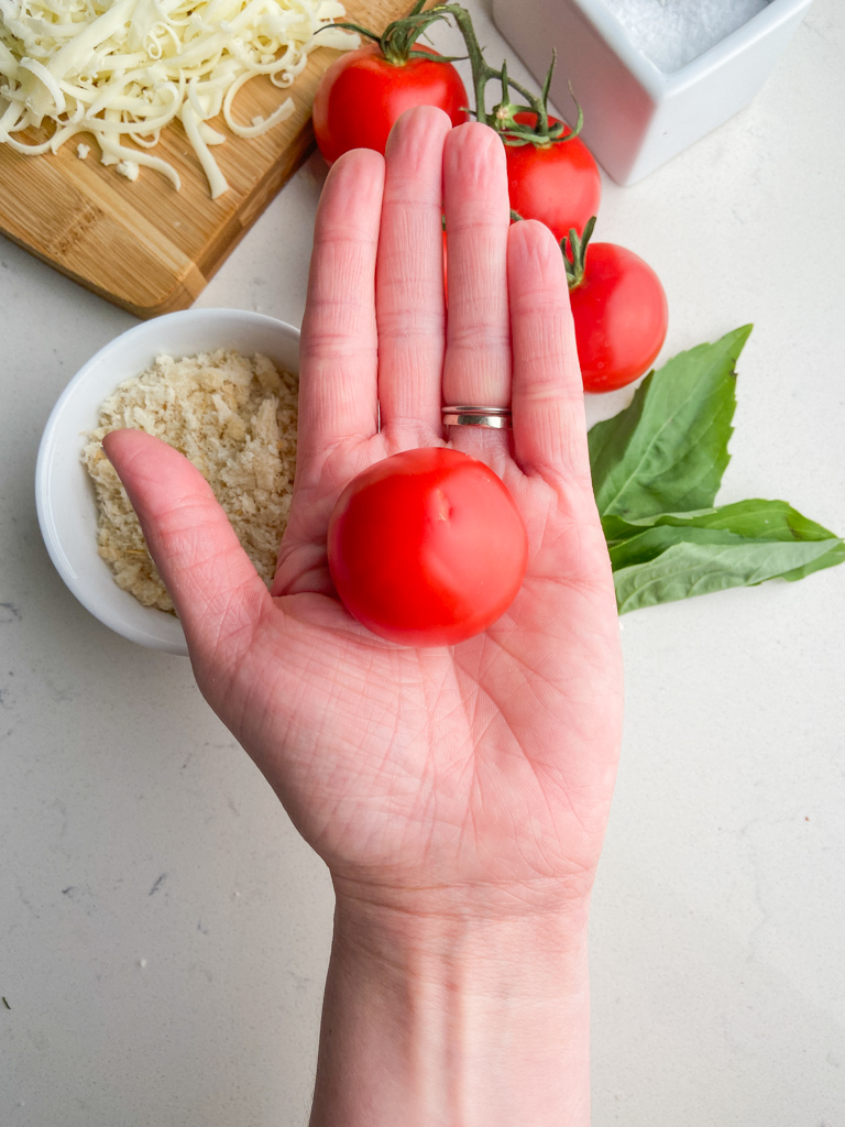 Hand holding a campari tomato. 