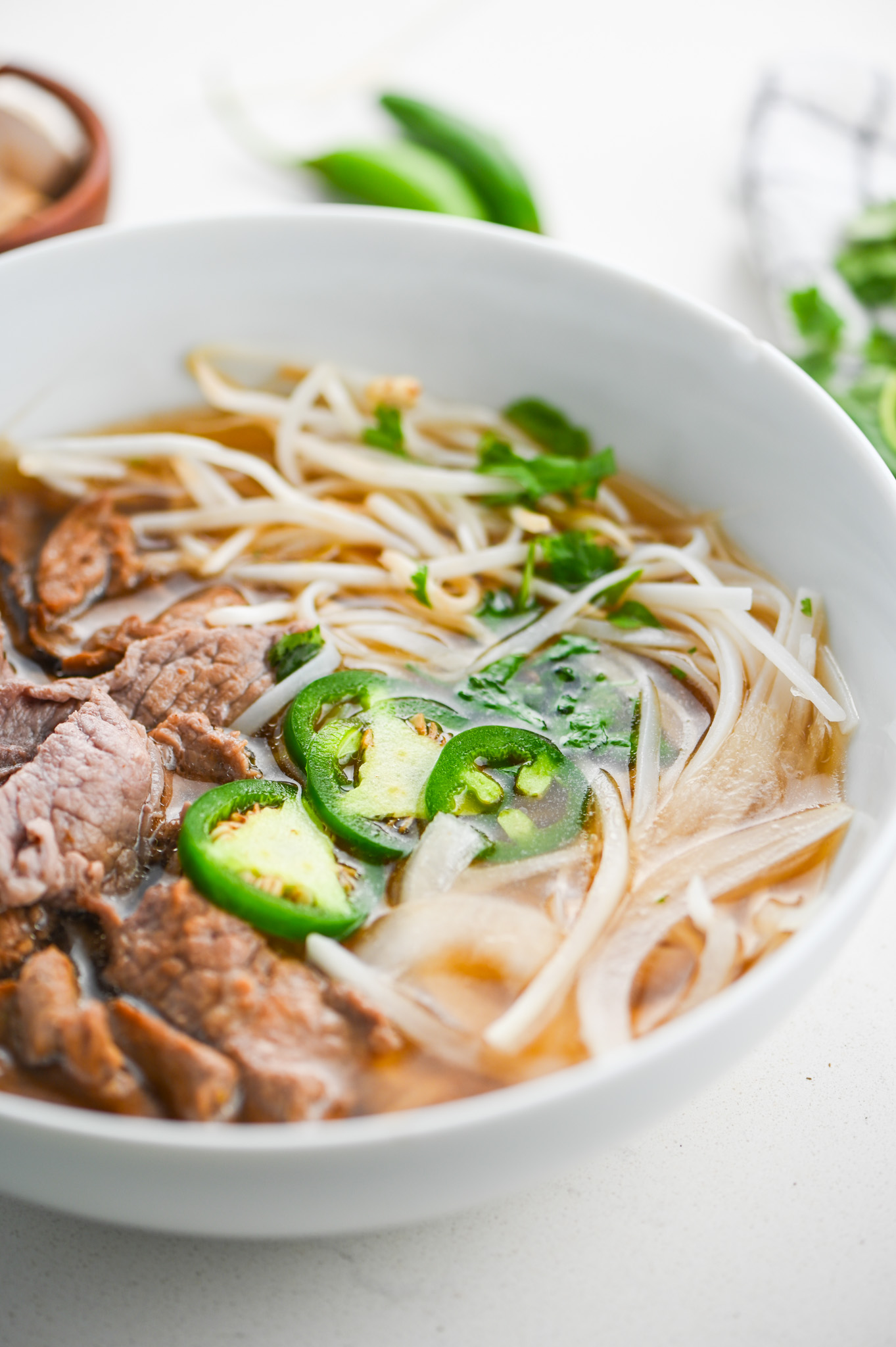 Beef Noodle Soup - Life's Ambrosia