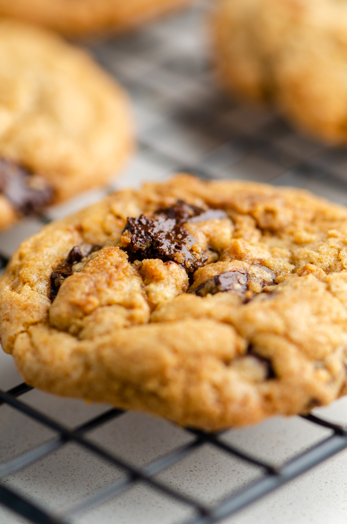 Close up side photo of biscoff and chocolate chip cookies on a cooling rack. 