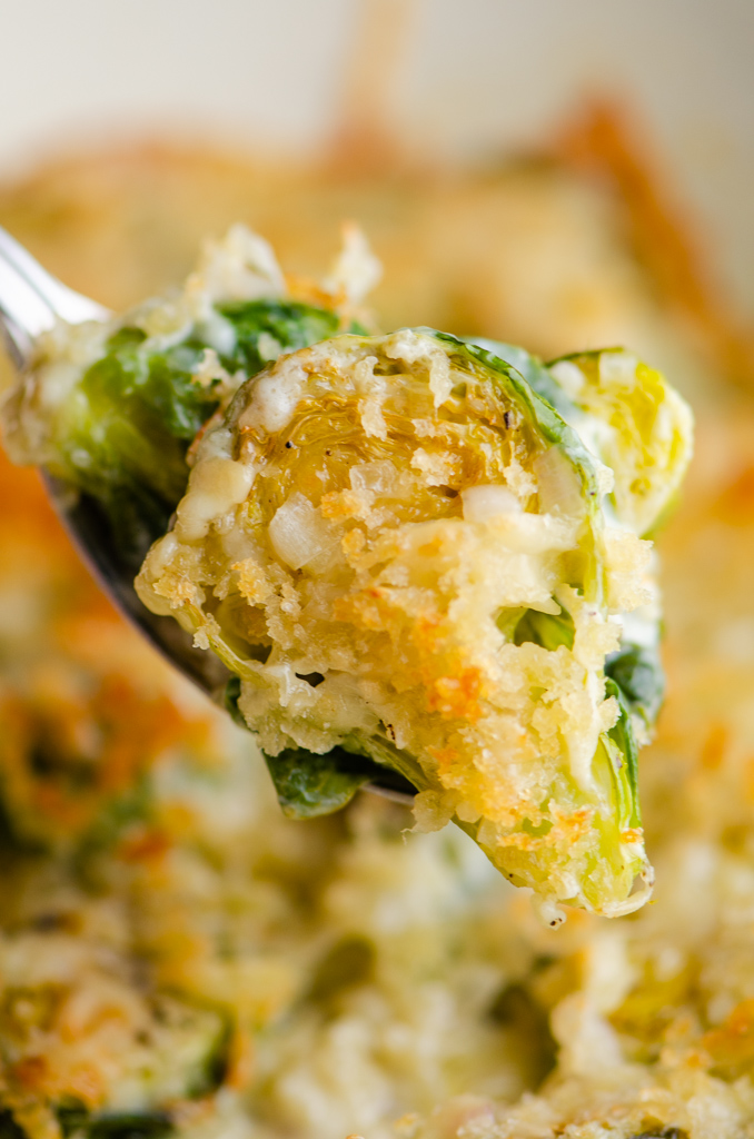 Close up  photo of brussels sprouts  with  bread crumbs and cheese. 