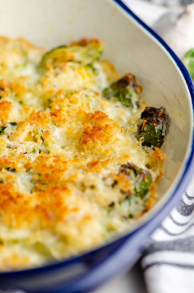 Side view of brussels gratin in blue casserole dish. 