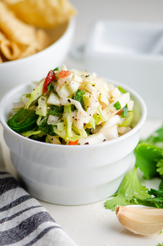 Cabbage Salsa Recipe Fresh Cabbage Salsa Life's Ambrosia
