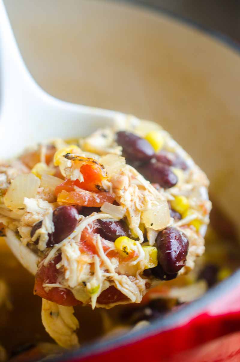 Chicken Tortilla Soup - Life's Ambrosia