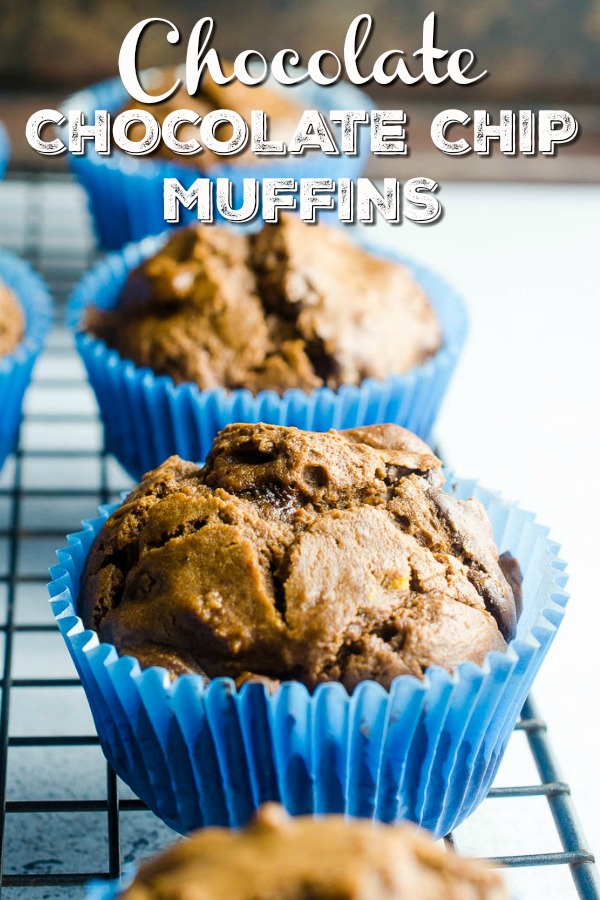 Easy Chocolate Chocolate Chip Muffins are a great for breakfast on the go or afternoon snacks. #breakfast #muffins #chocolate