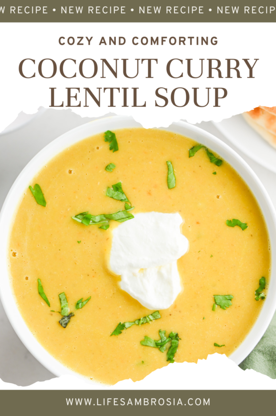 Coconut Curry Lentil Soup - Life's Ambrosia