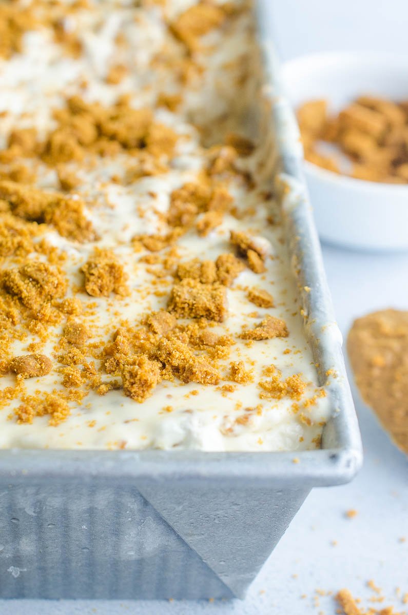 Cookie Butter Ice Cream Recipe No Churn Ice Cream Life's Ambrosia