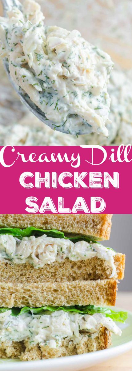 A creamy dill chicken salad sandwich made with fresh dill, mayo, yogurt, garlic, chicken and red onion. The perfect summer sandwich.
