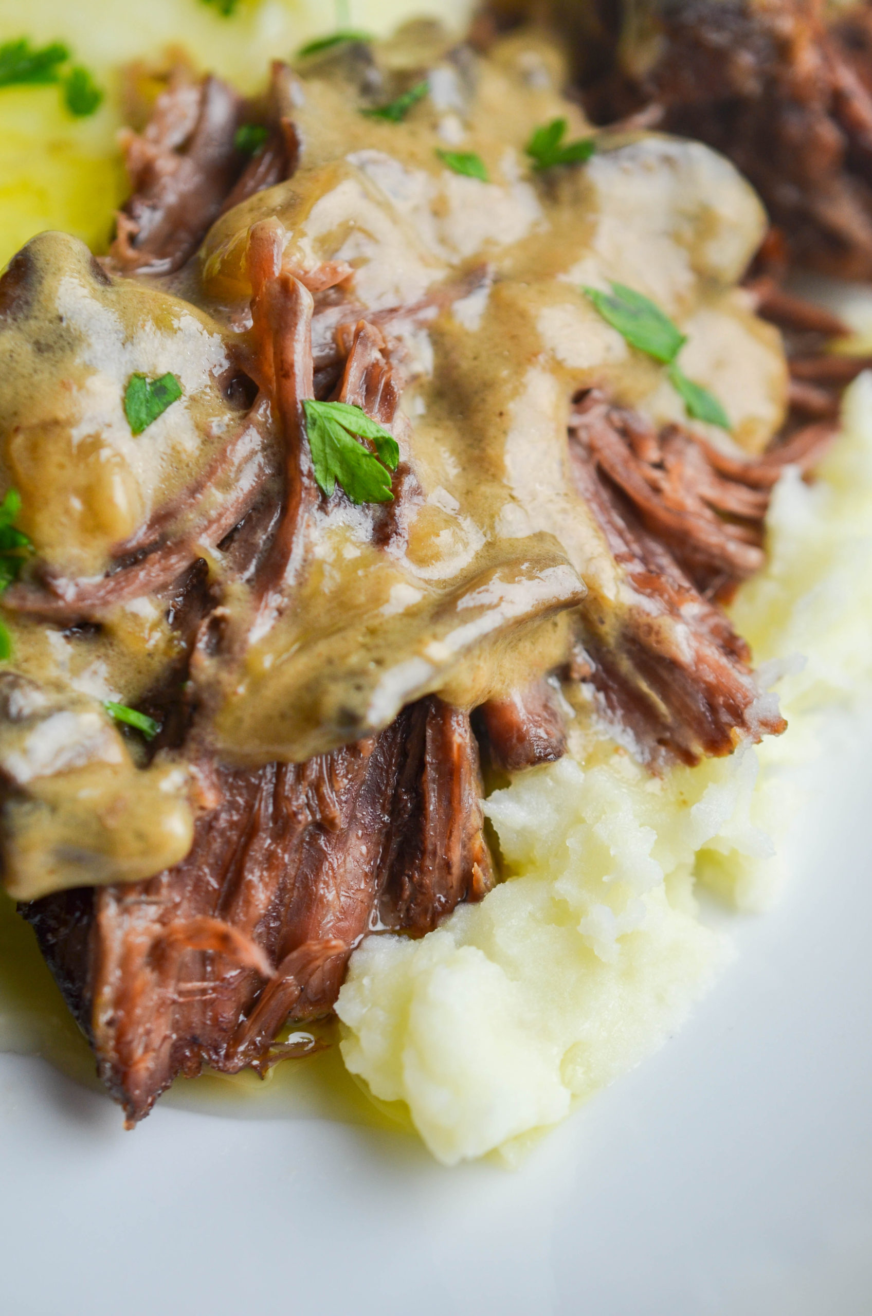 Side angle photo of pot roast on top of mashed potatoes. 