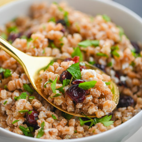 Farro, Cranberry and Goat Cheese Salad Life's Ambrosia