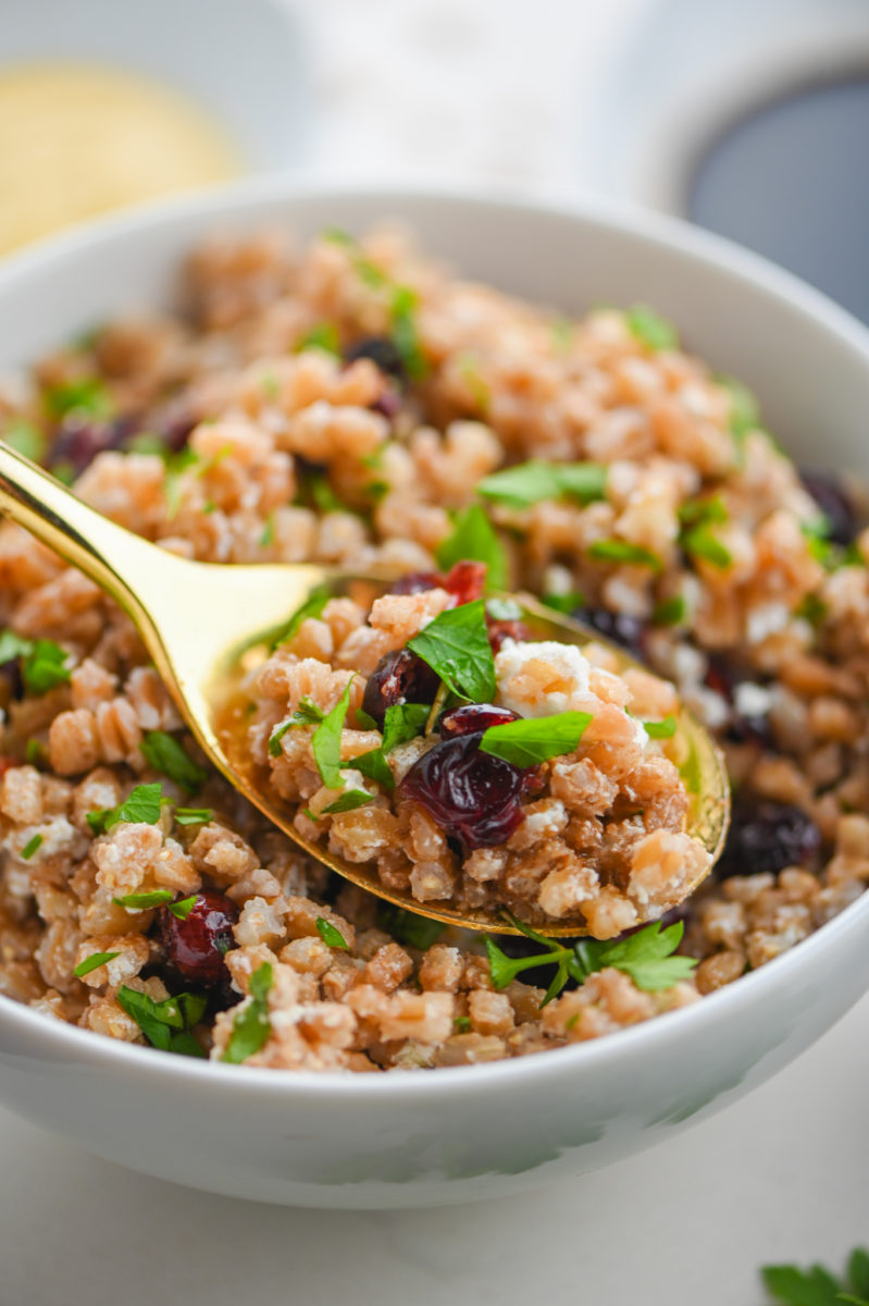 Spoonful of farro salad.