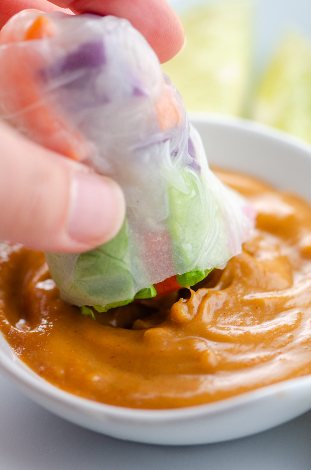 Fresh Spring Rolls with Spicy Peanut Sauce Life's Ambrosia