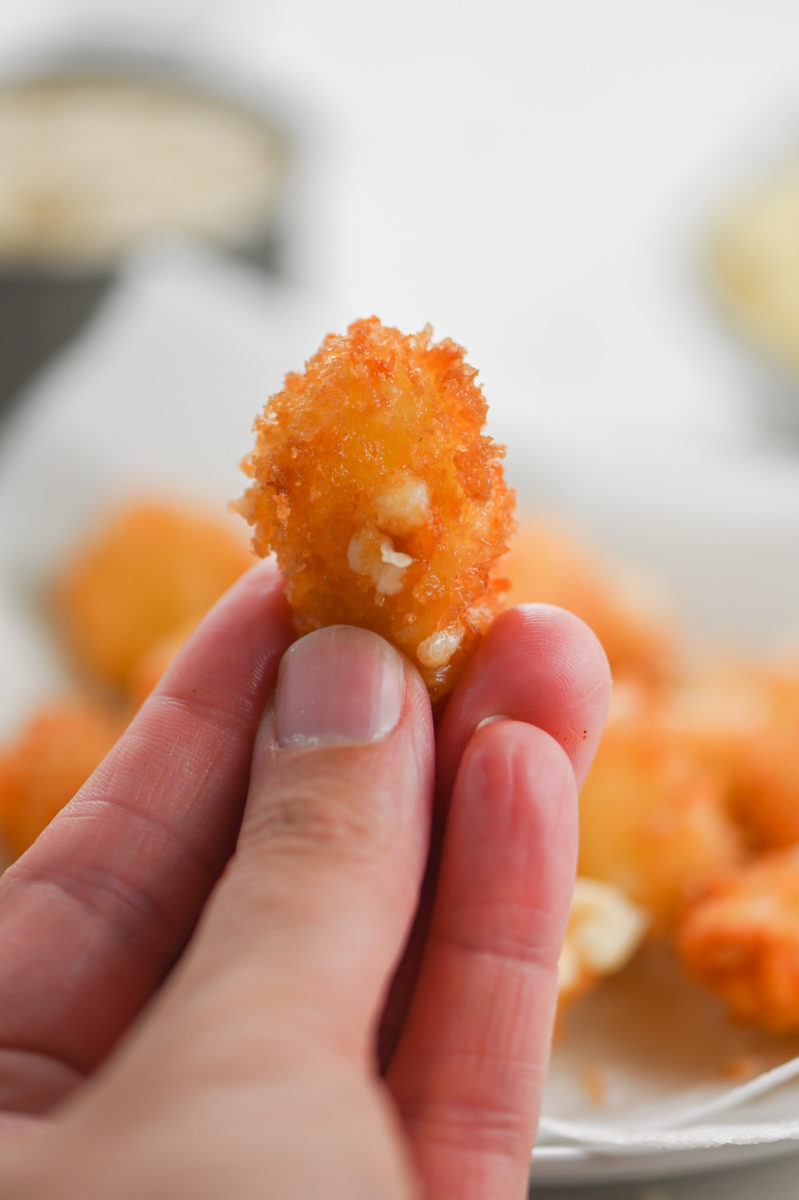 Hand holding a fried cheese curd. 