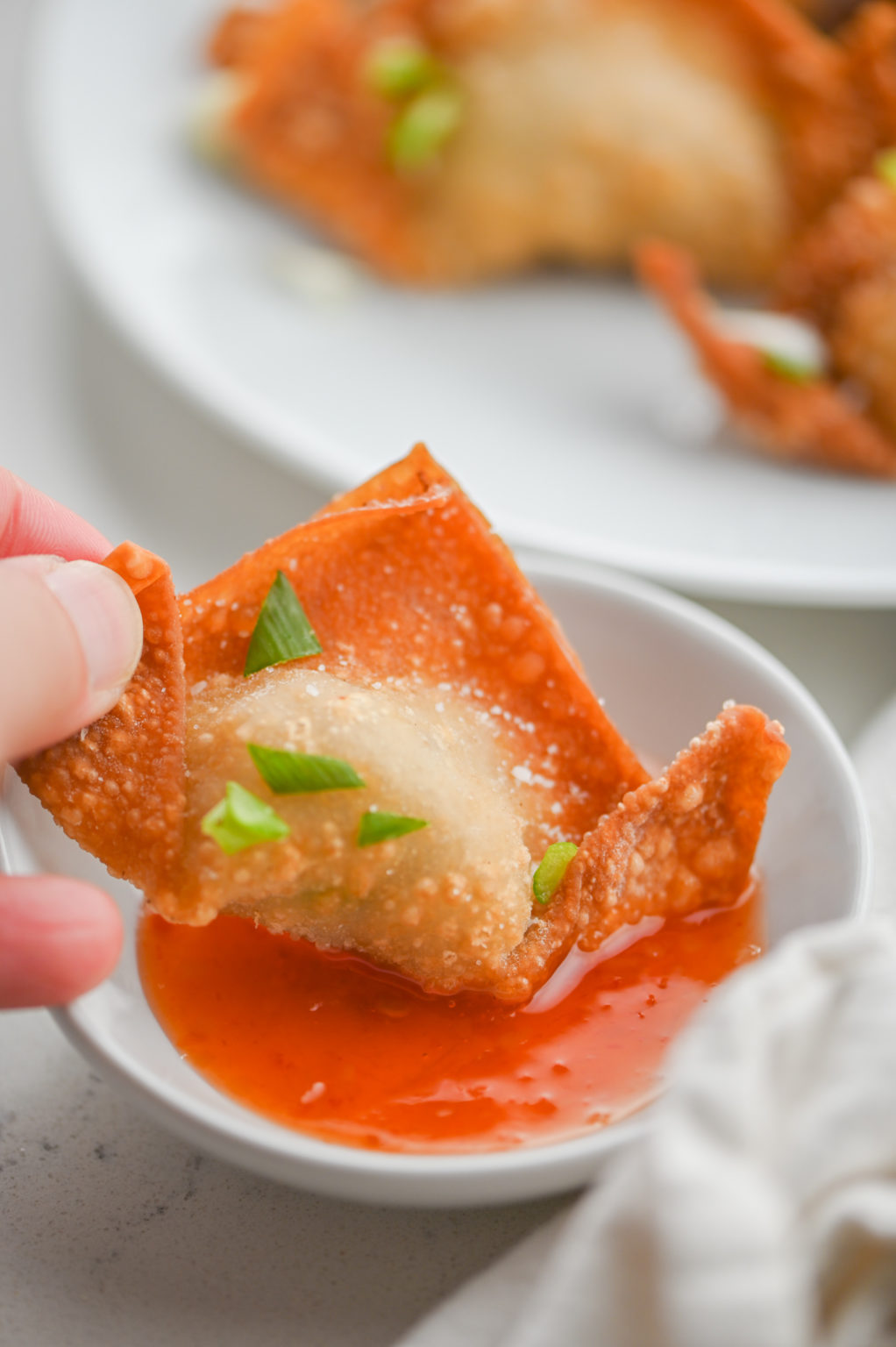 Fried Pork Wontons Recipe Life's Ambrosia