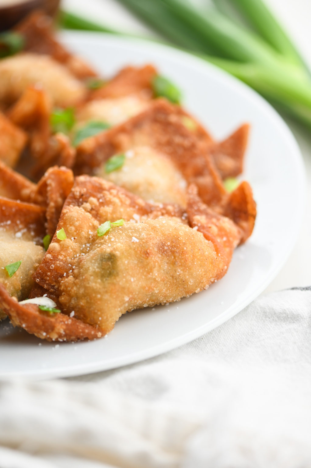 Fried Pork Wontons Recipe Life's Ambrosia