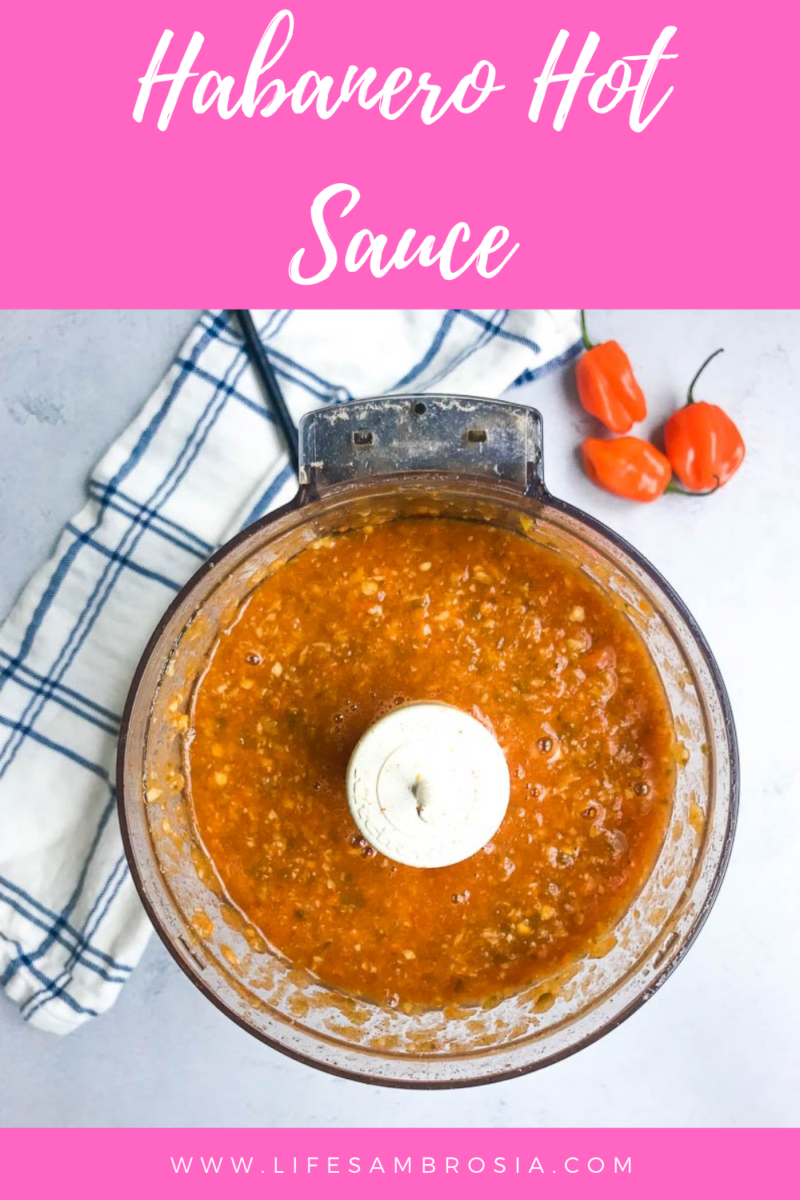 Habanero Hot Sauce Recipe {With Video!} | Life's Ambrosia