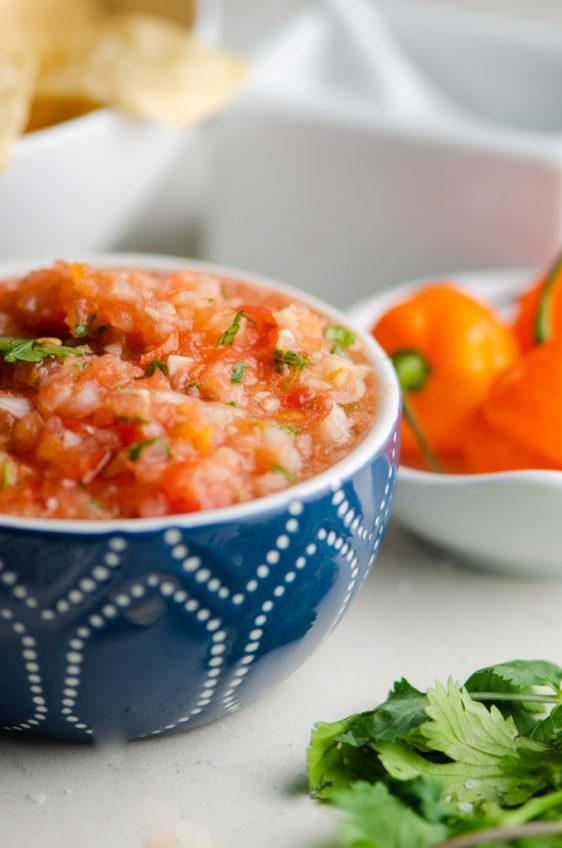 Habanero Salsa Recipe Life's Ambrosia