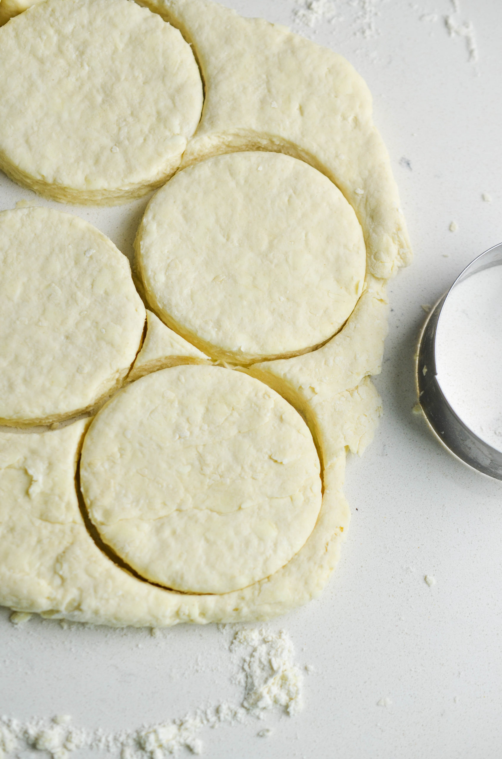 Biscuit dough cut into biscuits. 