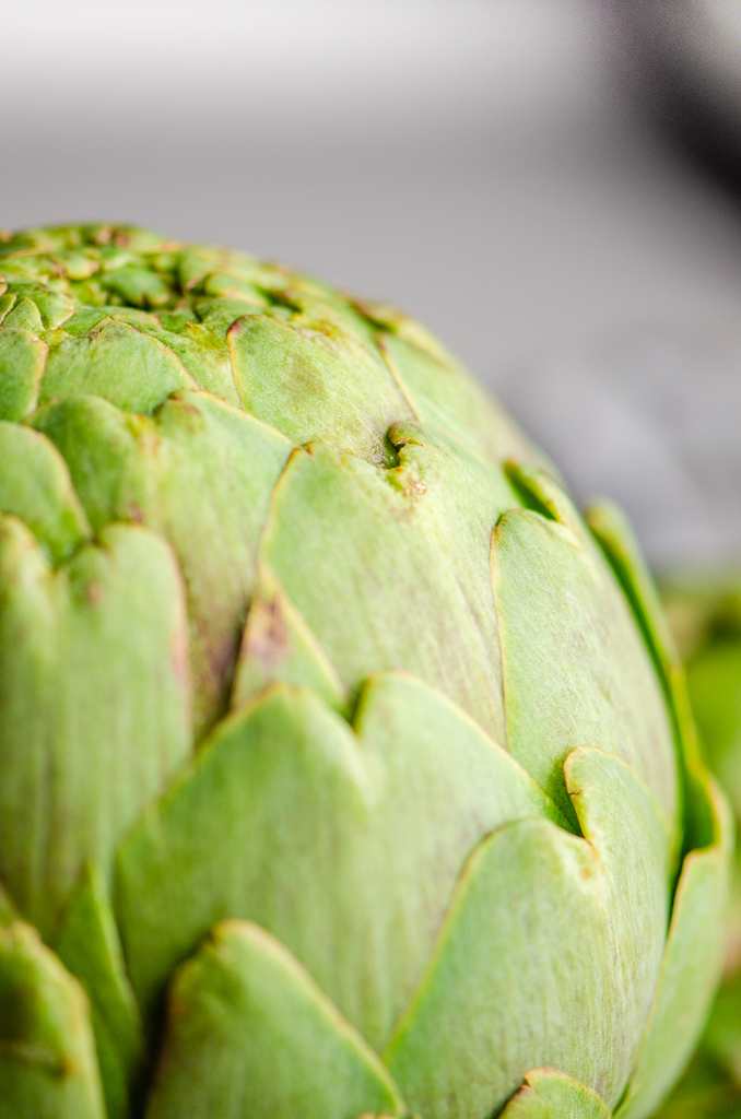 Close up photo of whole raw artichoke. 