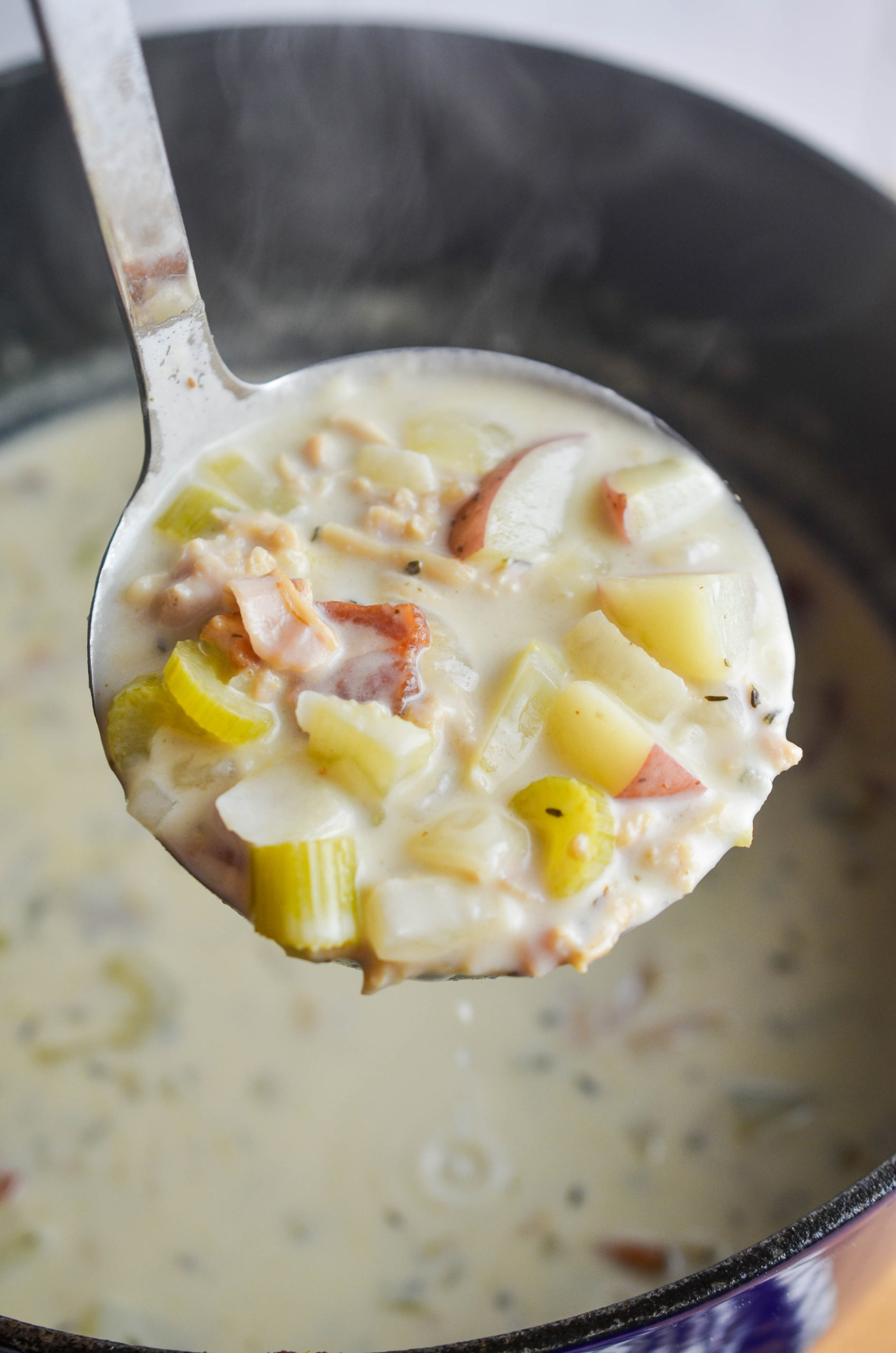 Ladle of New England Style Clam Chowder