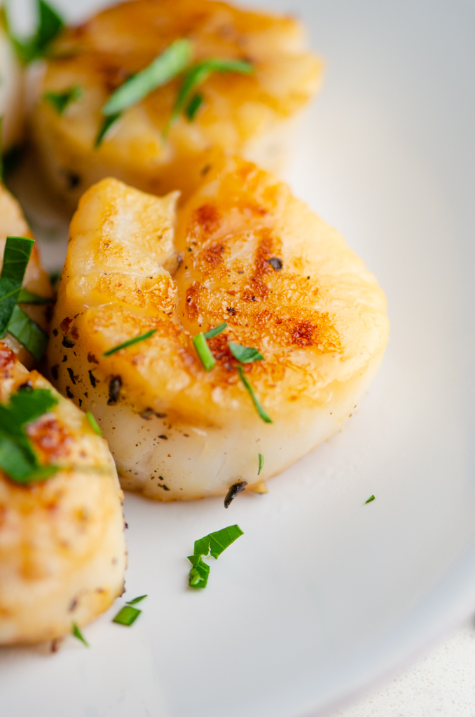 Close up side shot of seared scallop