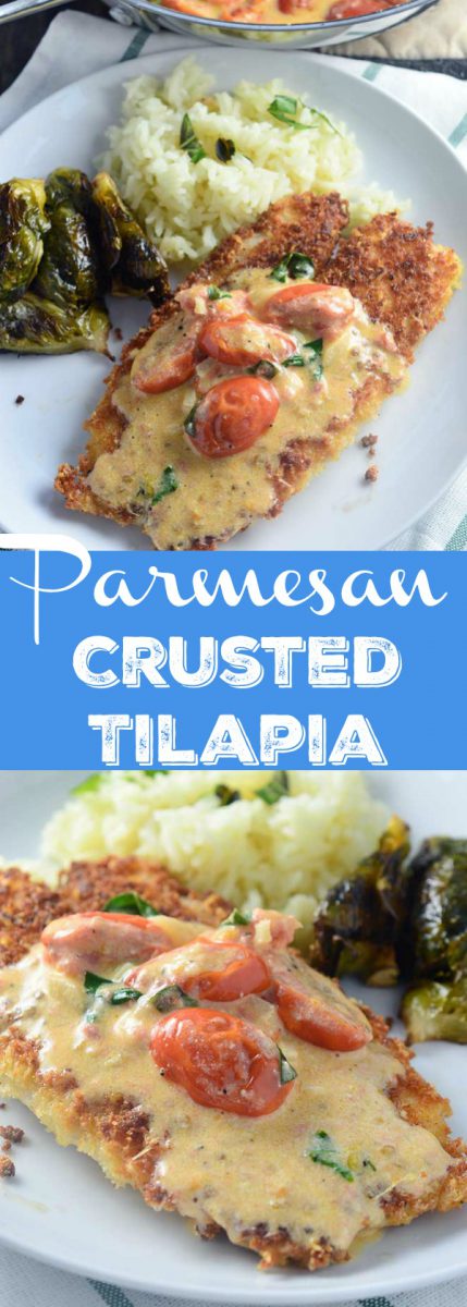 Parmesan crusted tilapia with tomato-basil cream sauce is a quick and easy dinner recipe that the whole family will love. Pan fried tilapia with Parmesan and panko breading with a delectable creamy tomato-basil sauce. 