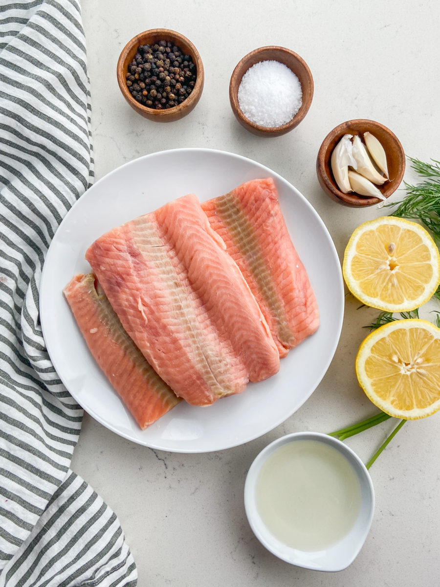 Overhead photo of salmon ingredients. 