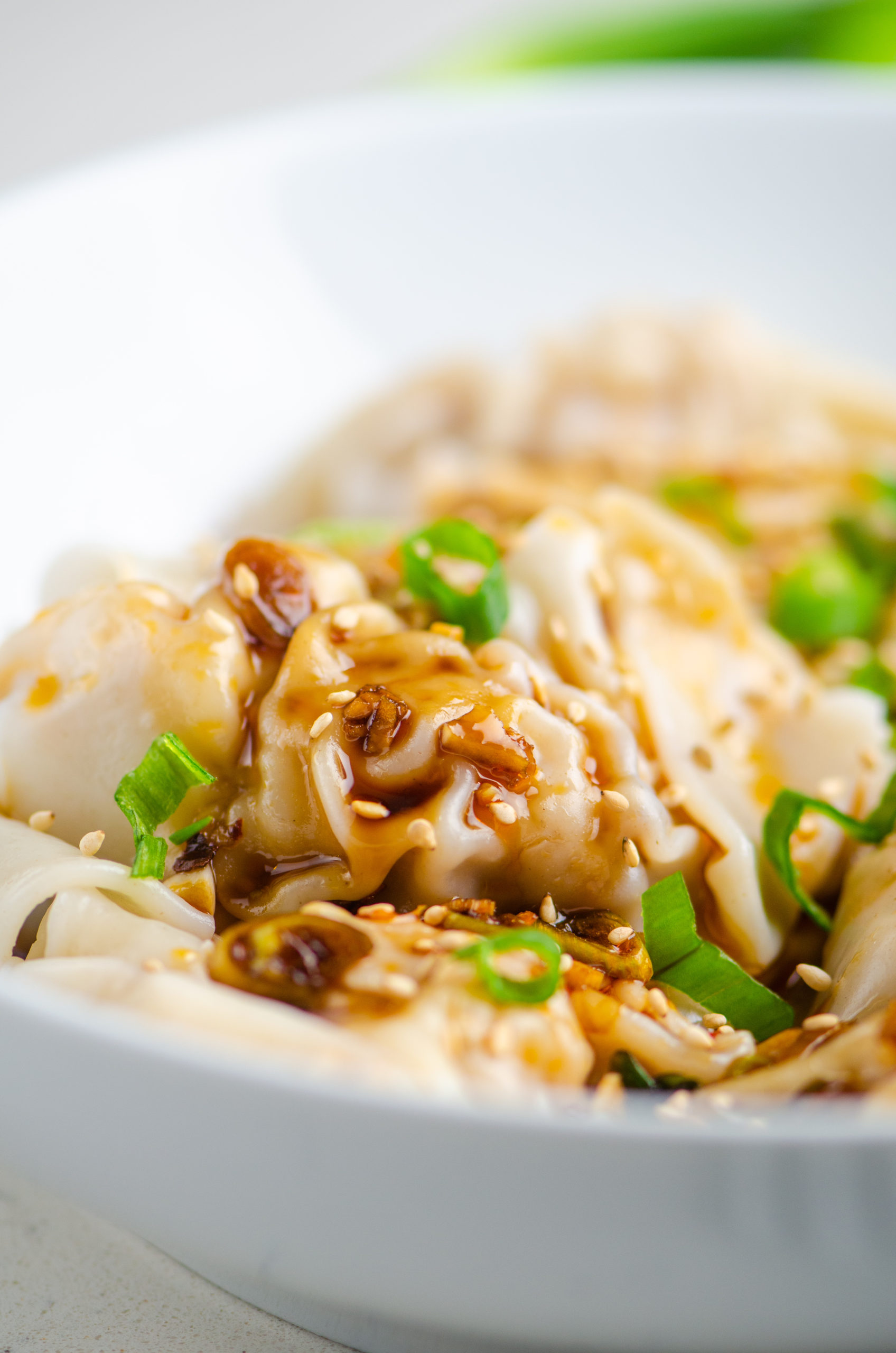 Close up photo of shrimp and pork wontons with sauce and green onions. 