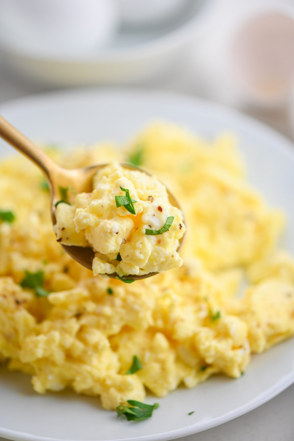 Truffle Scrambled Eggs Life's Ambrosia