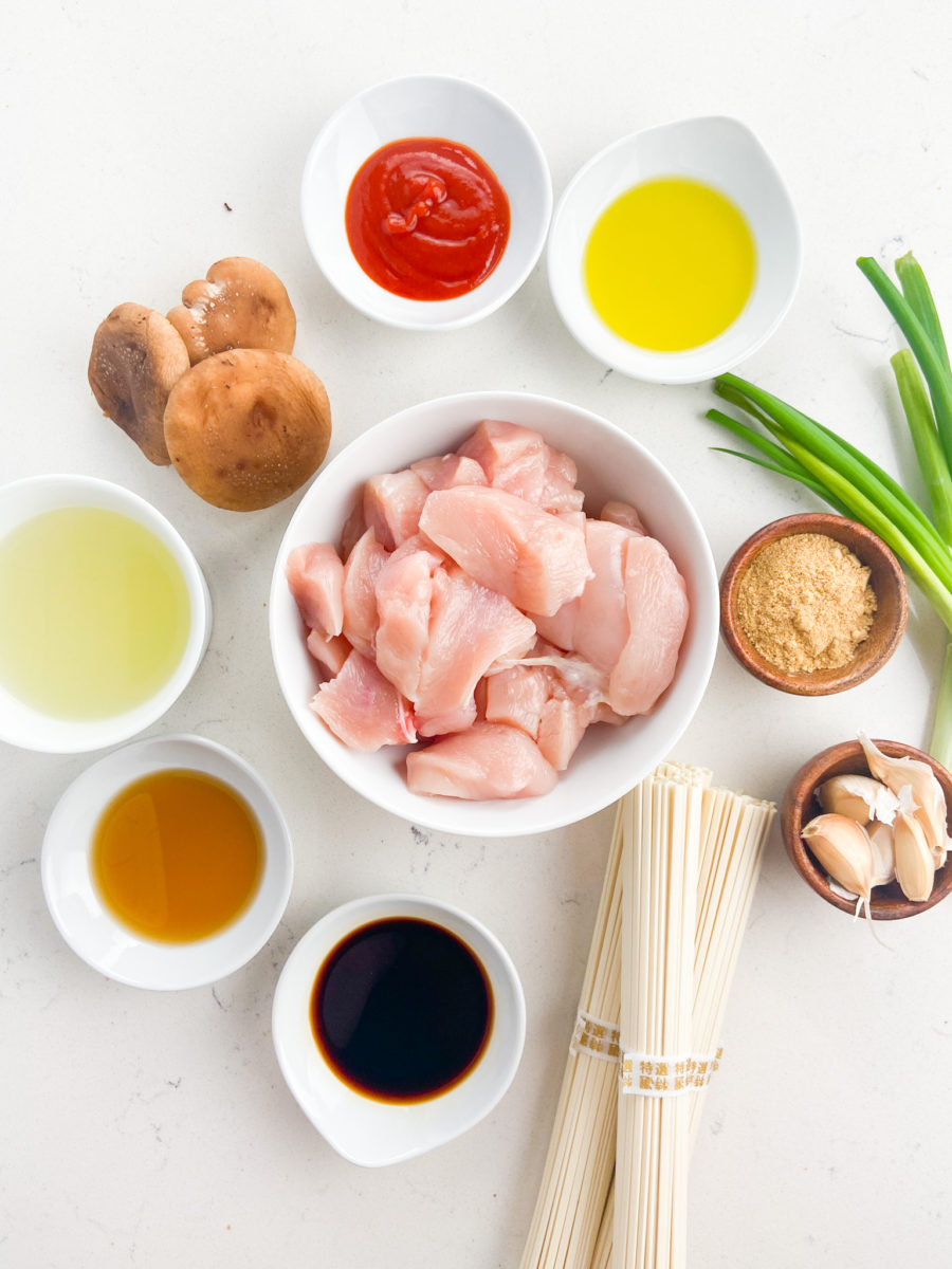 Chicken udon soup ingredients. 