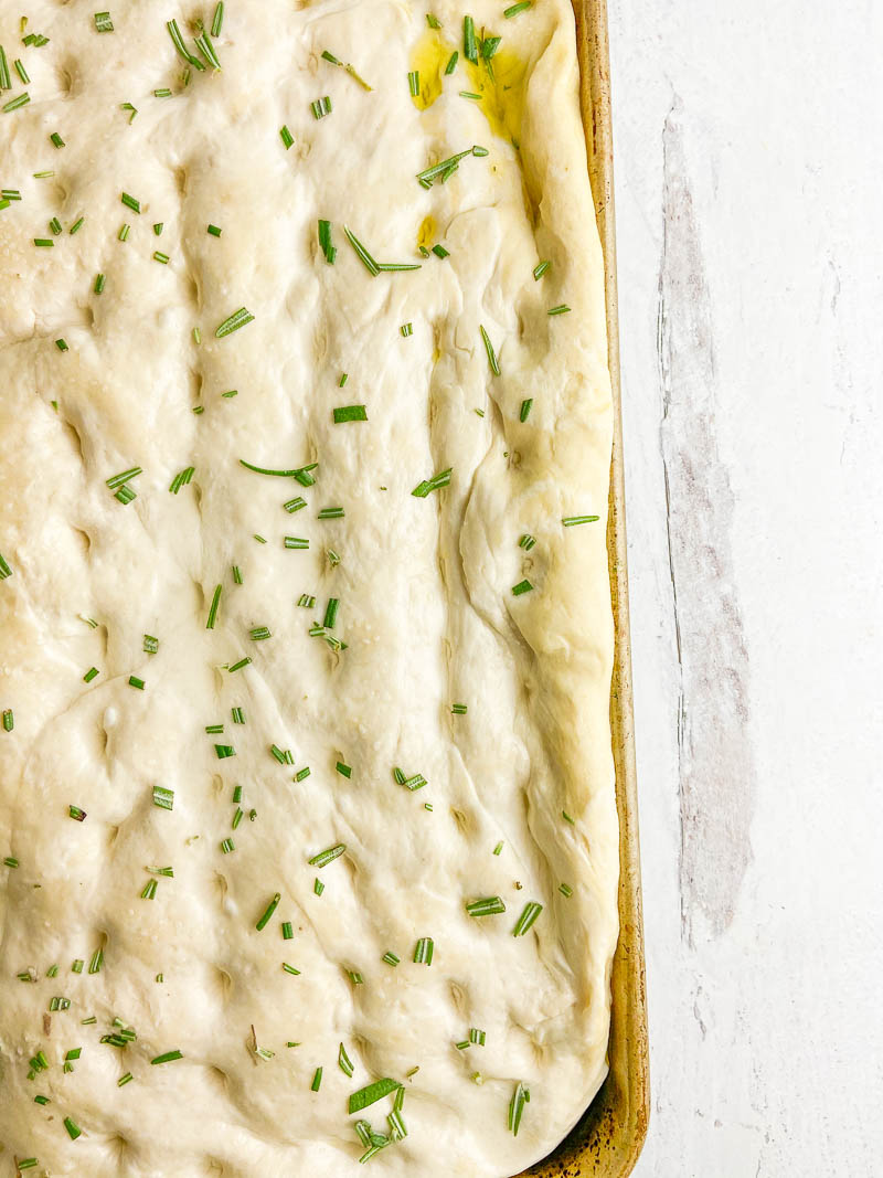 Overhead shot of uncooked focaccia bread with rosemary on white background. 